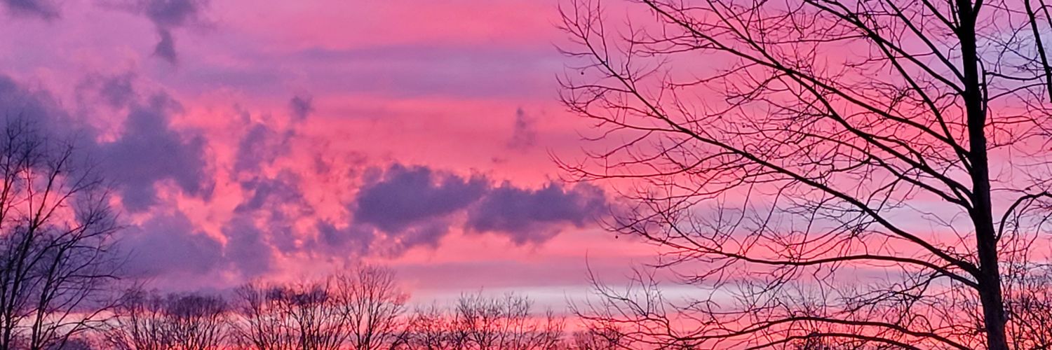 NesterDarlene's profile banner image