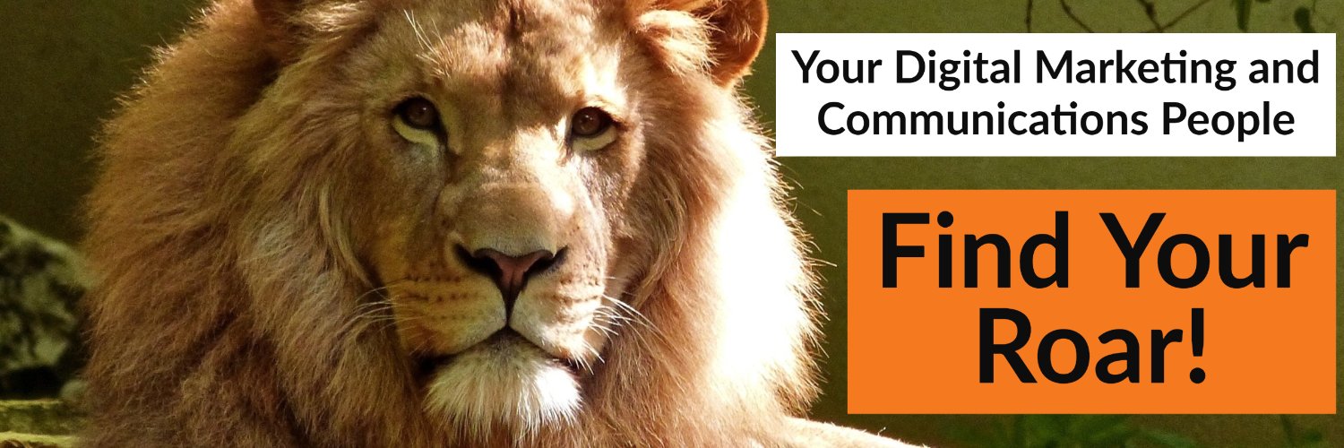 LionSpiritMedia's profile banner image