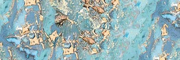 amyelizabeth_x's profile banner image