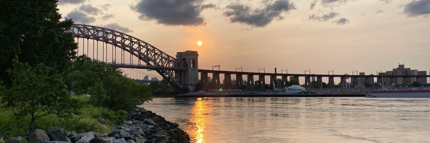 Vafa Tabatabaie, MD 🦴🥼🐈🐈‍⬛ banner