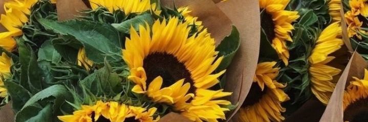 Gabsnani's profile banner image