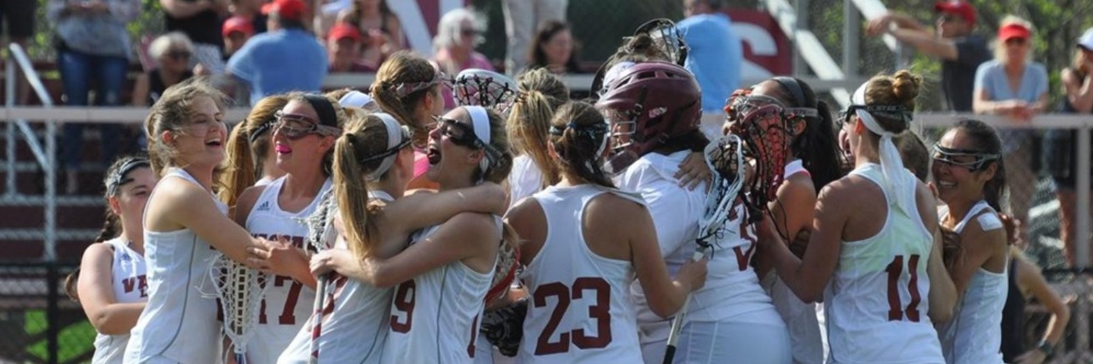 VassarWLax's profile banner image