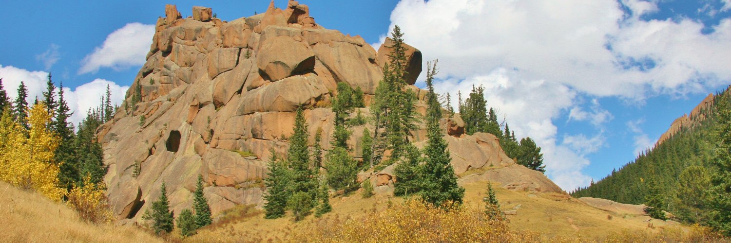 coleenhellen's profile banner image