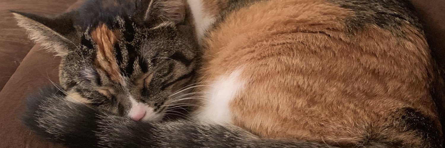 postmaude's profile banner image