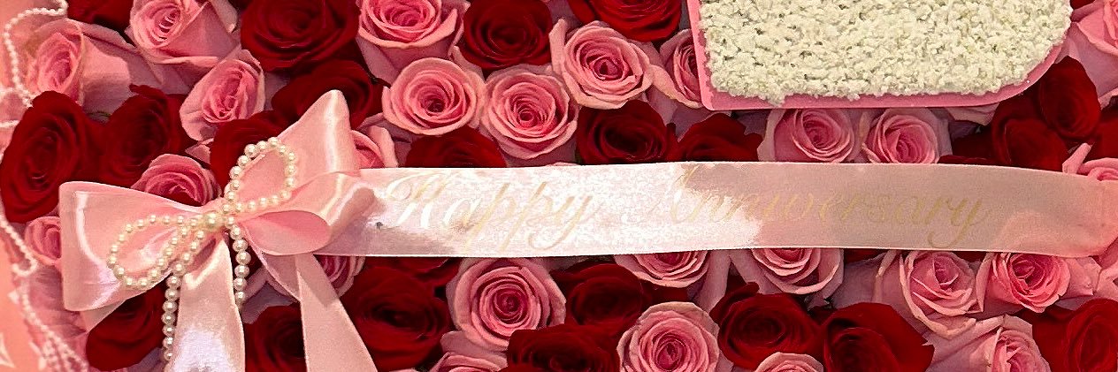 Angelicvstro's profile banner image