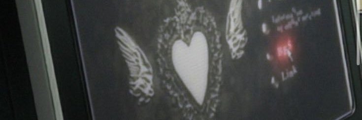 xneonct's profile banner image