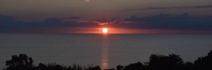 Cpp_1202's profile banner image