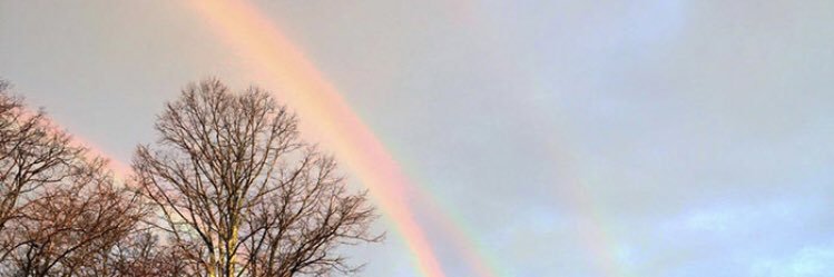 totes555's profile banner image