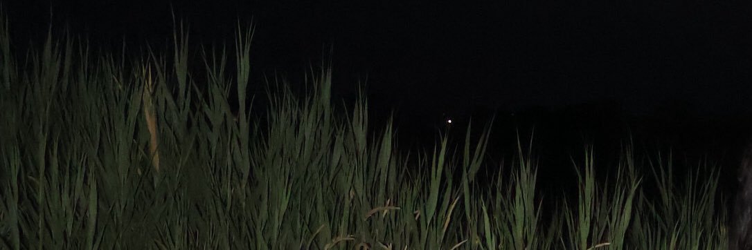 xhttp_sandrax's profile banner image