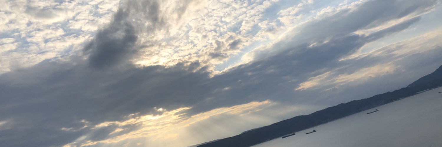 yvichim's profile banner image