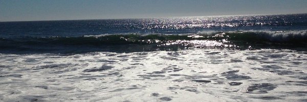 quantalcontent Profile Banner