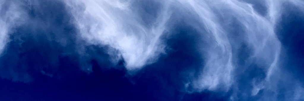 pkprlynn's profile banner image