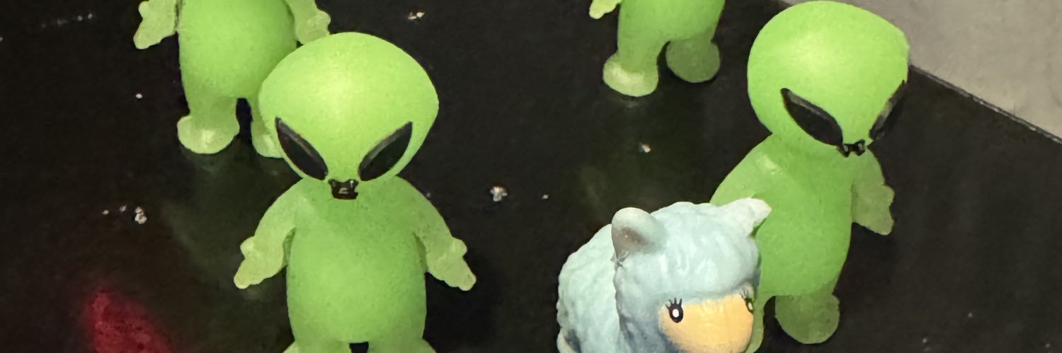 allisonnkitch's profile banner image