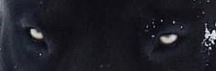 hluckey88's profile banner image