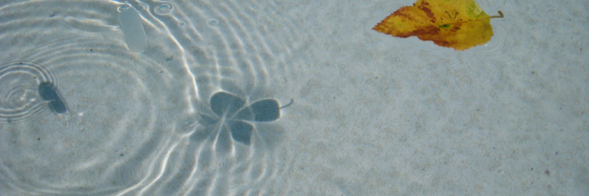 John Levinson banner