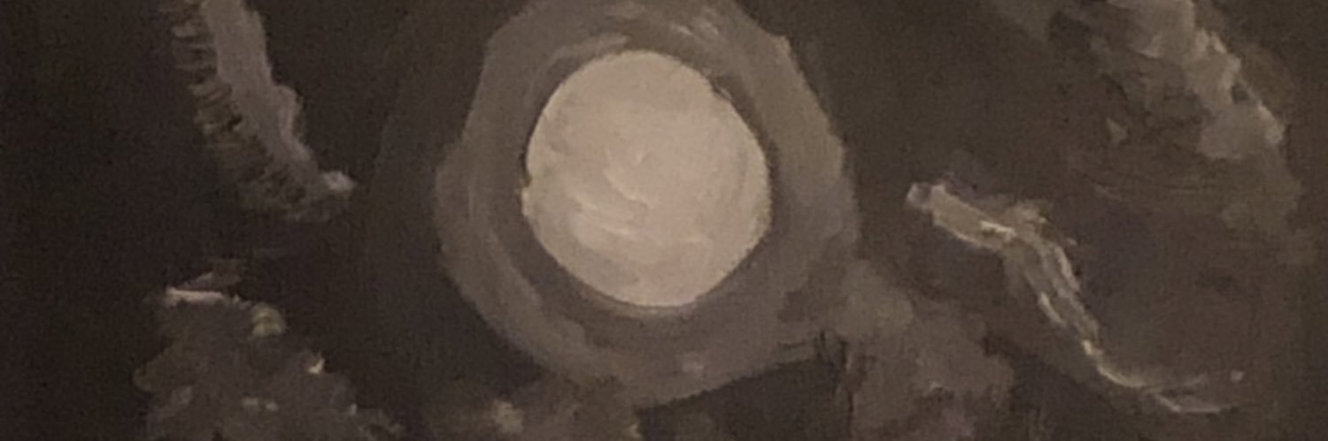 ntaer's profile banner image