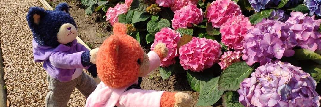 🍎🍅🍎🍛kai@ スタトレ 2日も参戦🍛♪♬ banner