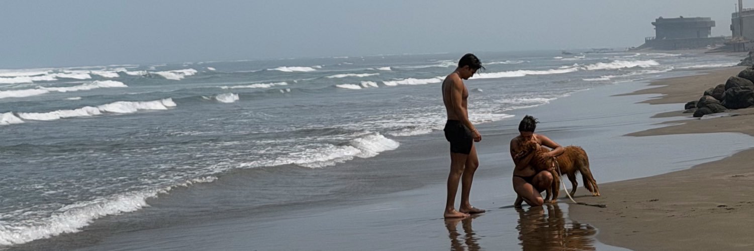 alezulopezz's profile banner image