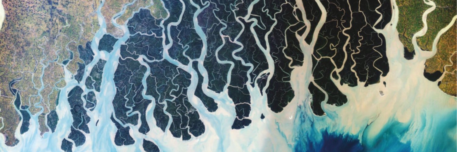 Andrew Morgenstern banner