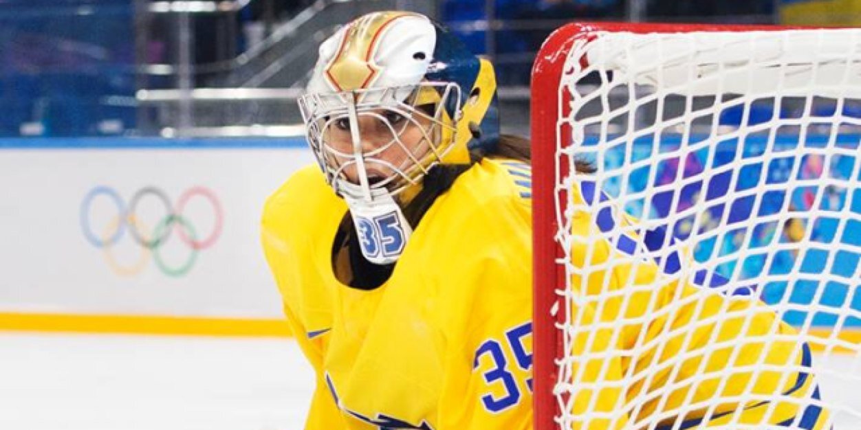 Valentina Lizana banner