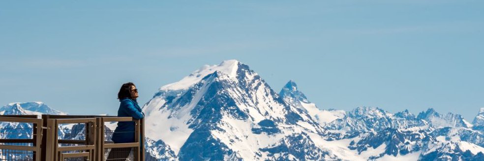 Shaonlee's profile banner image
