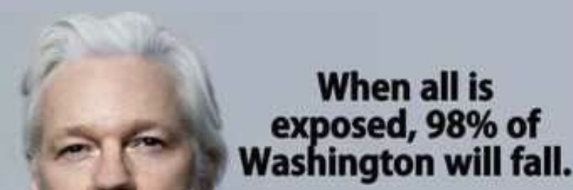 freedom .⋆*ೄ.•* banner