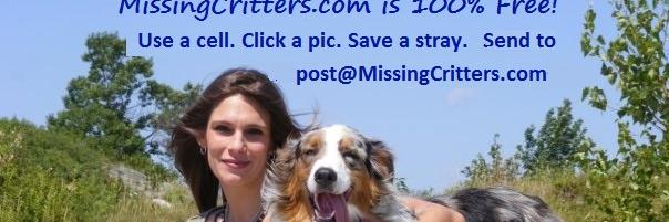 MissingCritters banner