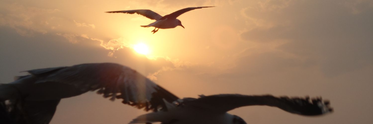 dhruvil997's profile banner image