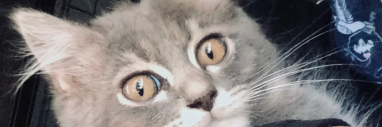 wanirsli's profile banner image