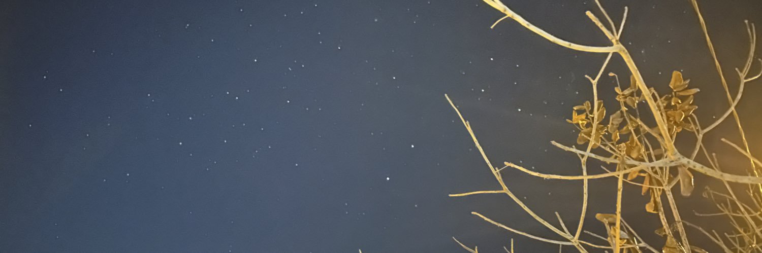 dessyirm's profile banner image