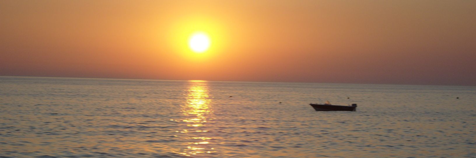 claudiAsr_'s profile banner image