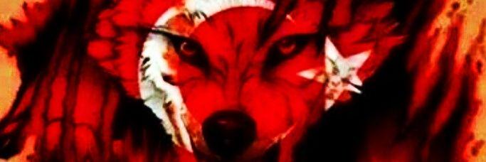 pynaram's profile banner image