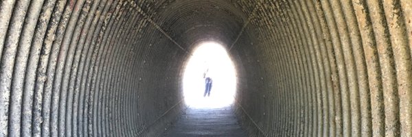 _StevieD Profile Banner