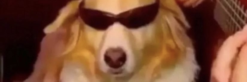 sofibaldomirr's profile banner image