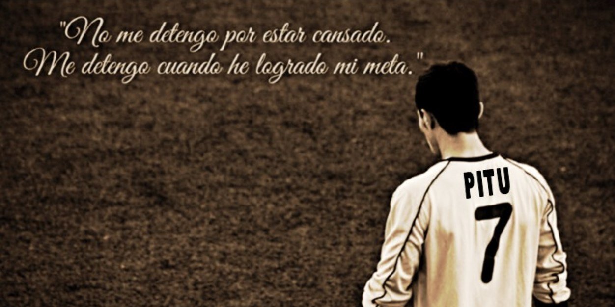 dani gaspar banner