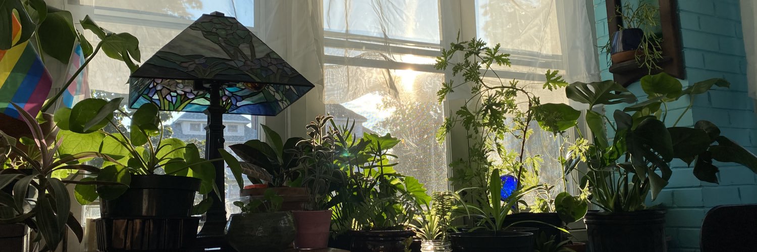 brandon9758's profile banner image