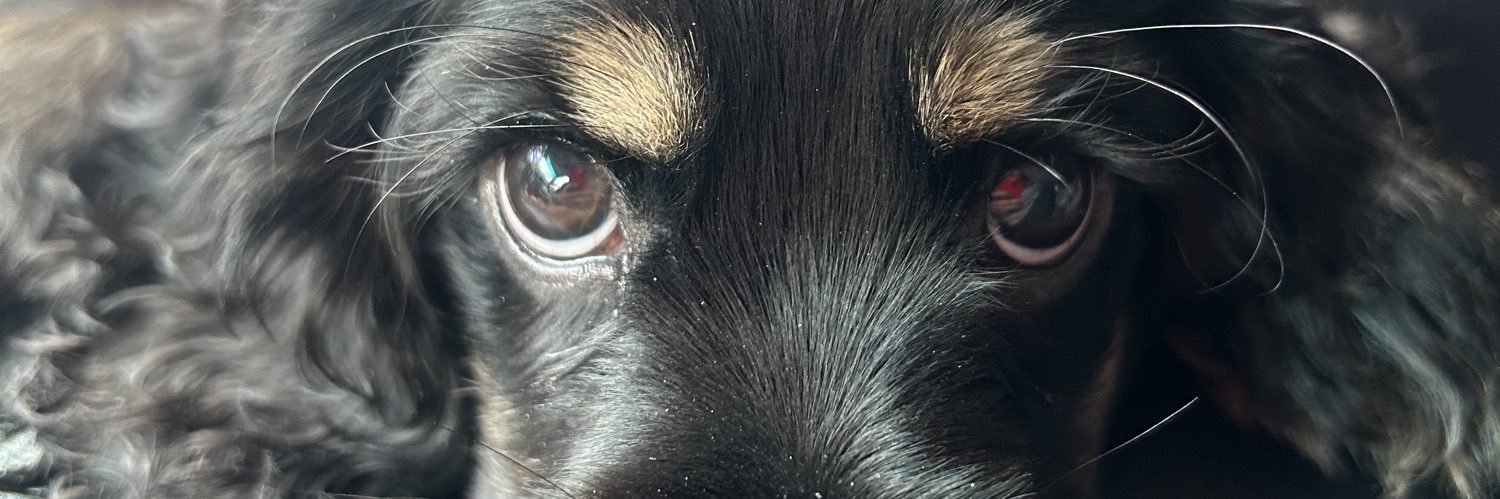 jvnmichael_'s profile banner image
