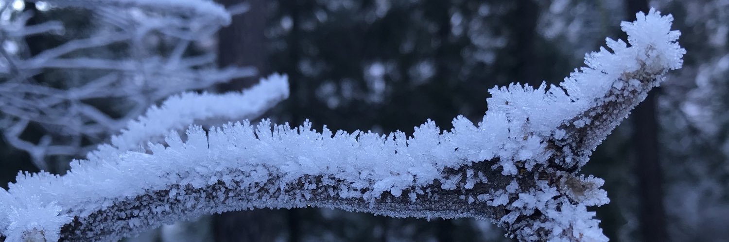 Sean Swain 🇺🇸✈️ banner