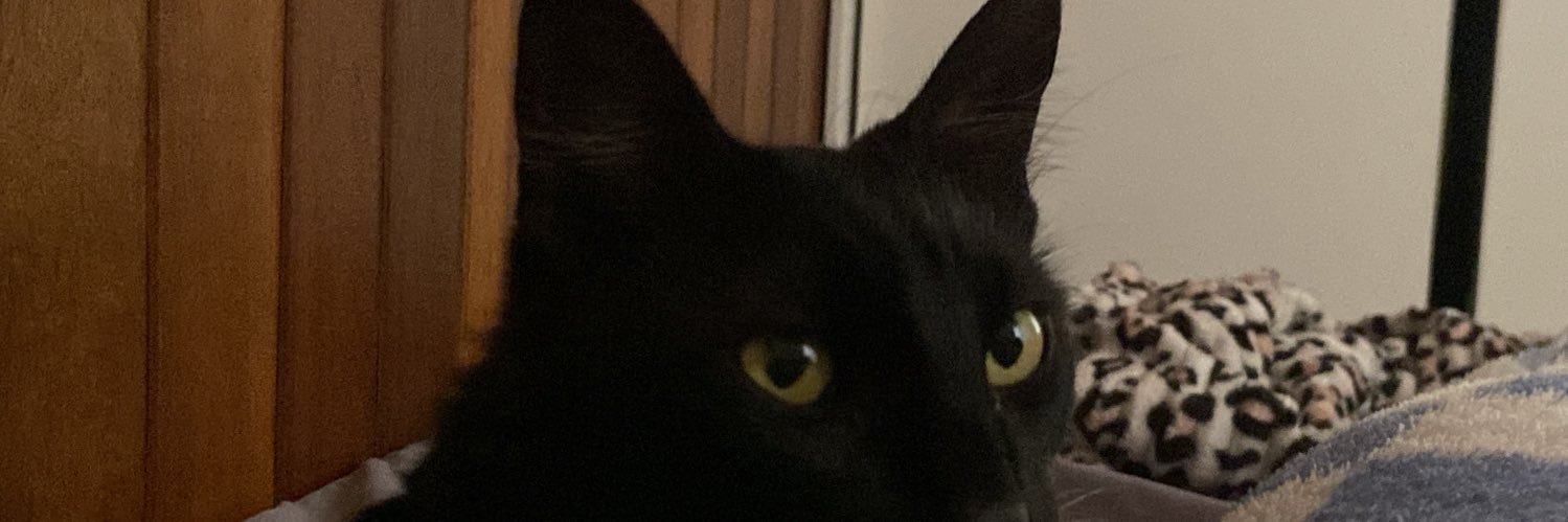 carolnosigilo's profile banner image
