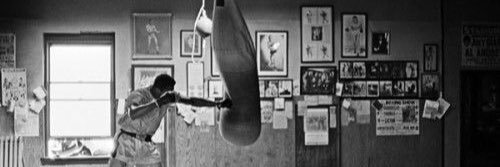 Unanimous Boxing Gym banner