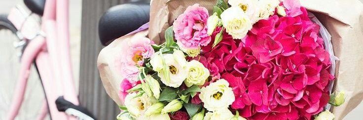 SugarandTulle's profile banner image