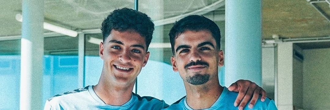 Druidas Celestes banner