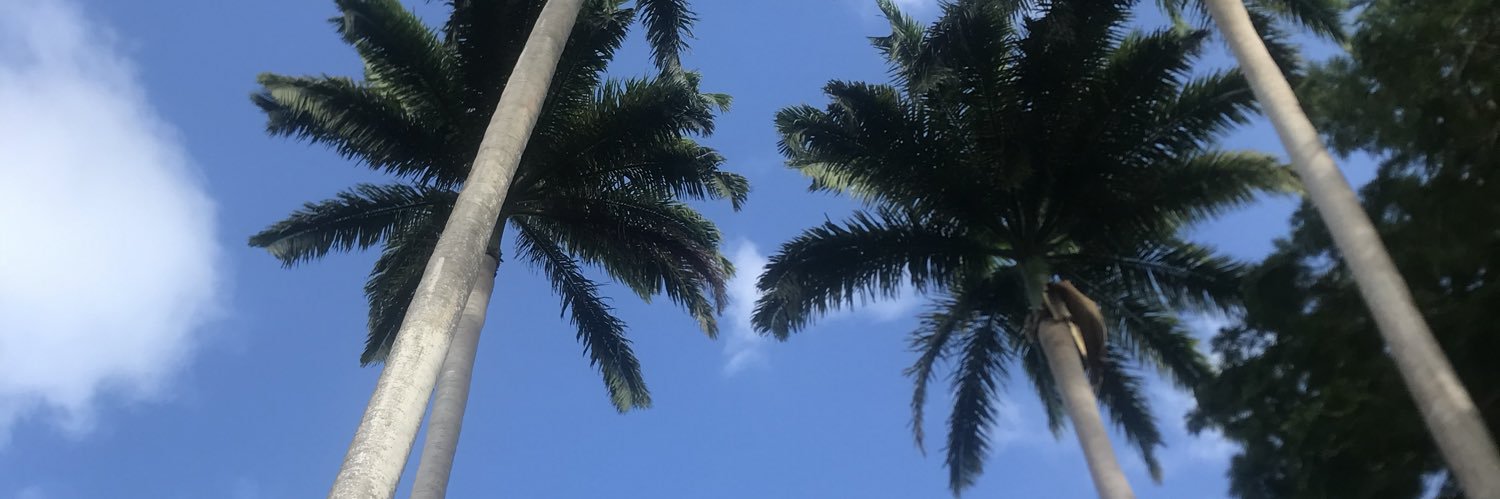 cobz_187's profile banner image