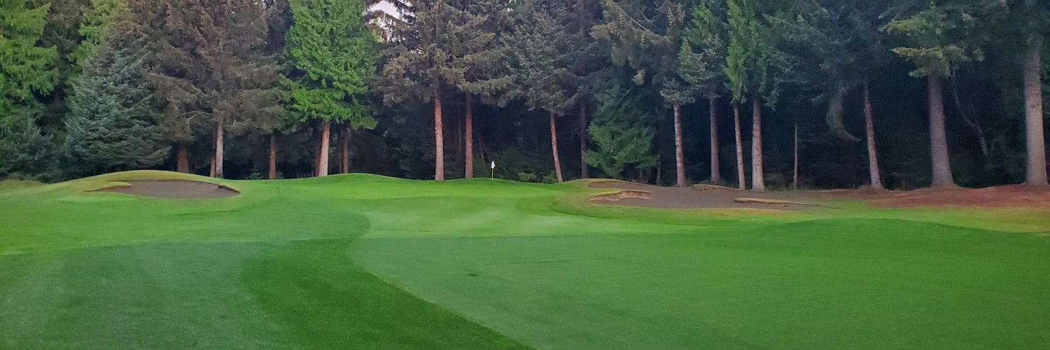 Scott Webster banner