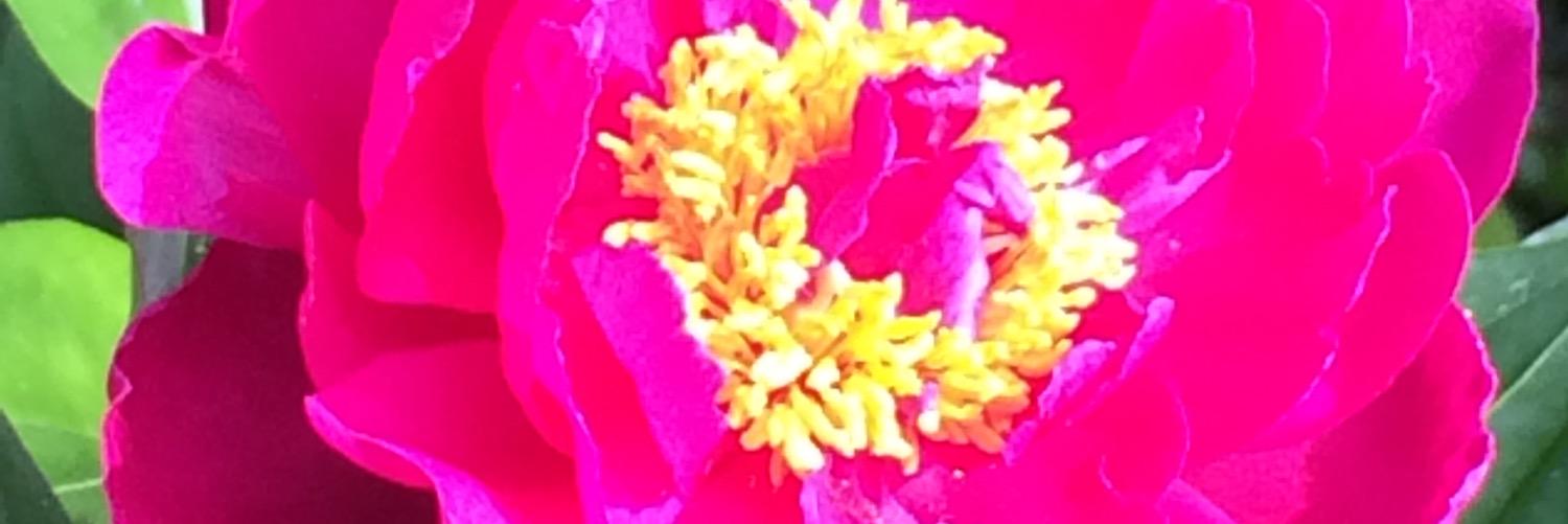 hadjimze's profile banner image