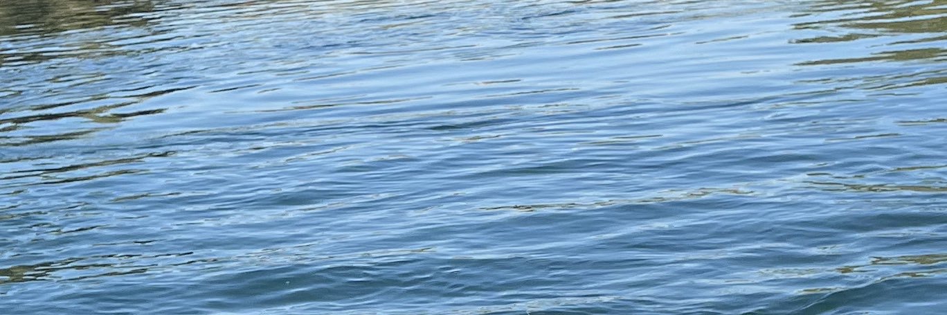 CAToryFan banner