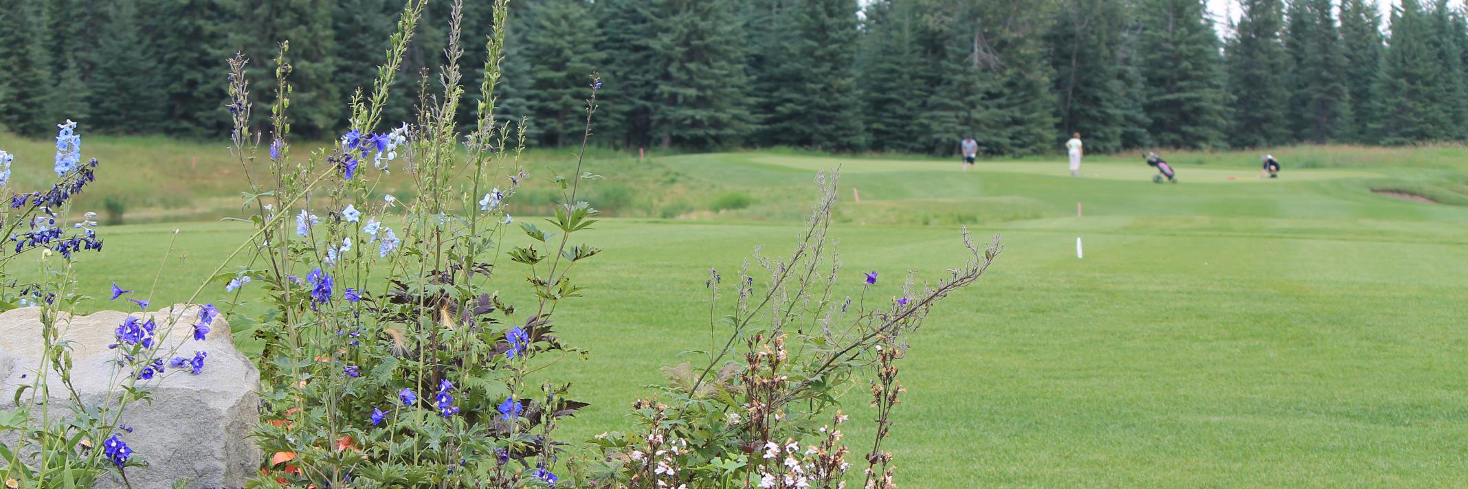 CCGolfRV's profile banner image