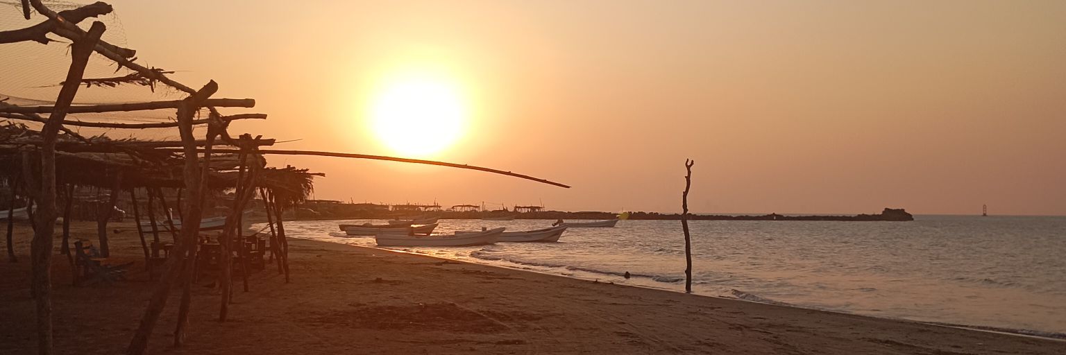 nidiapz's profile banner image