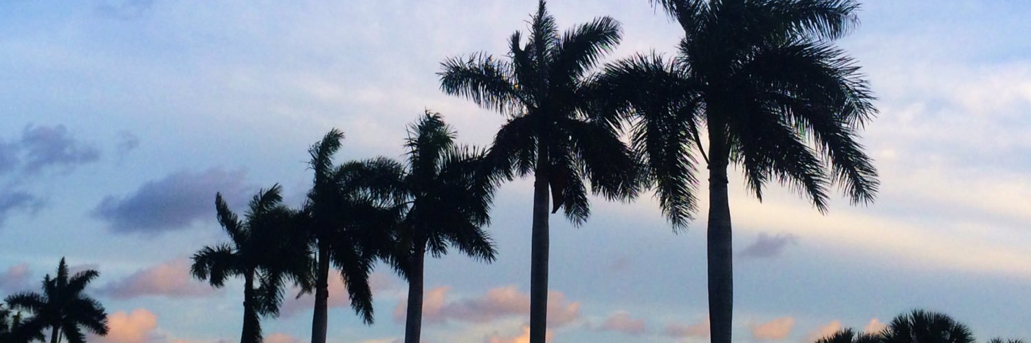 Alexya Williams banner