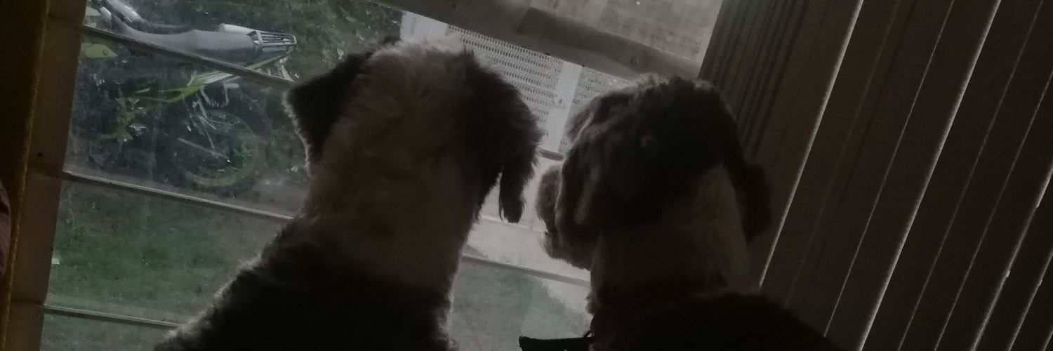 Aleta2308's profile banner image